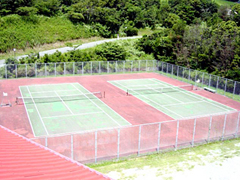 �Ȃ����������n�C�c�@�e�j�X�R�[�g